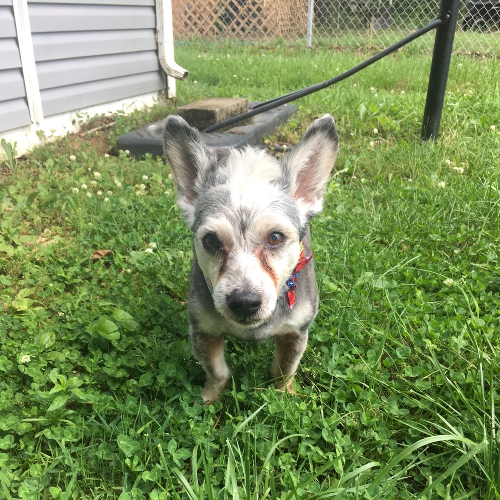 Meet your Posher, Craig